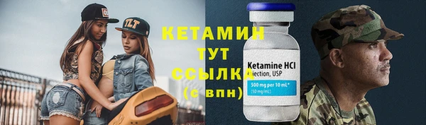 шишки Пересвет