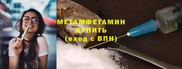 шишки Пересвет
