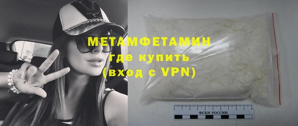 шишки Пересвет