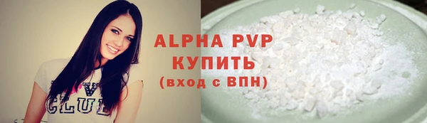 шишки Пересвет