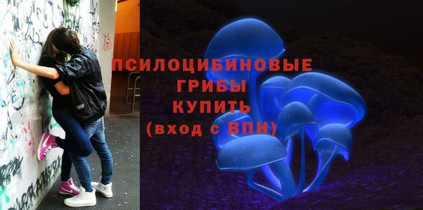 амфетамин Пестово