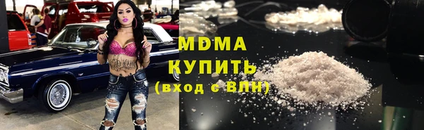 шишки Пересвет